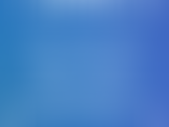 December 29, 2025 – The Bull