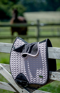 Haus of Concord offers a Pony Collection to shop