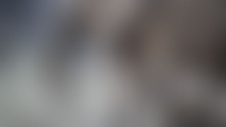 The Beauty of All Animals: Choosing Reverence Over Exploitation