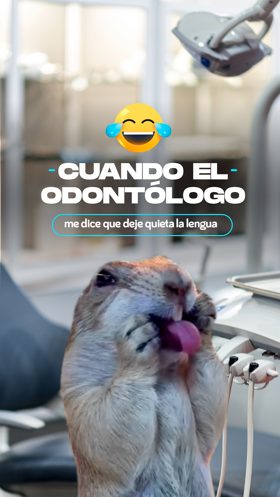 portada.png