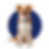 perro.png
