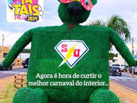 O nosso ursão está pronto para entrar na folia....