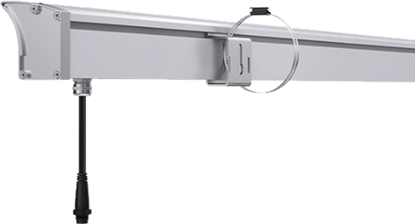 Rear.png