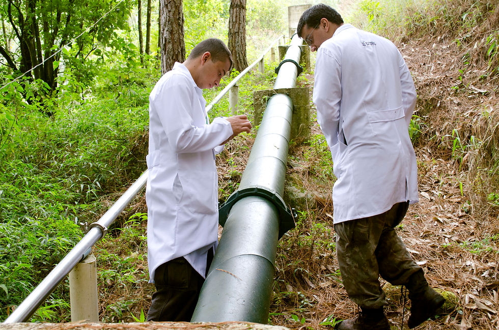 perícias_ambientais_e_agronômicas.jpg