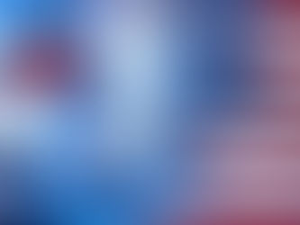 Bridging Borders - Origins of MSE in Different Countries