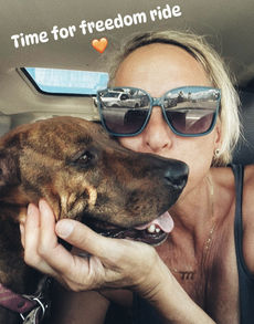Woman fostering a rescue dog in a calm home environment