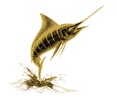 marlin run_edited.png