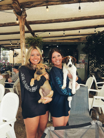 Family smiling with newly adopted rescue dog at home