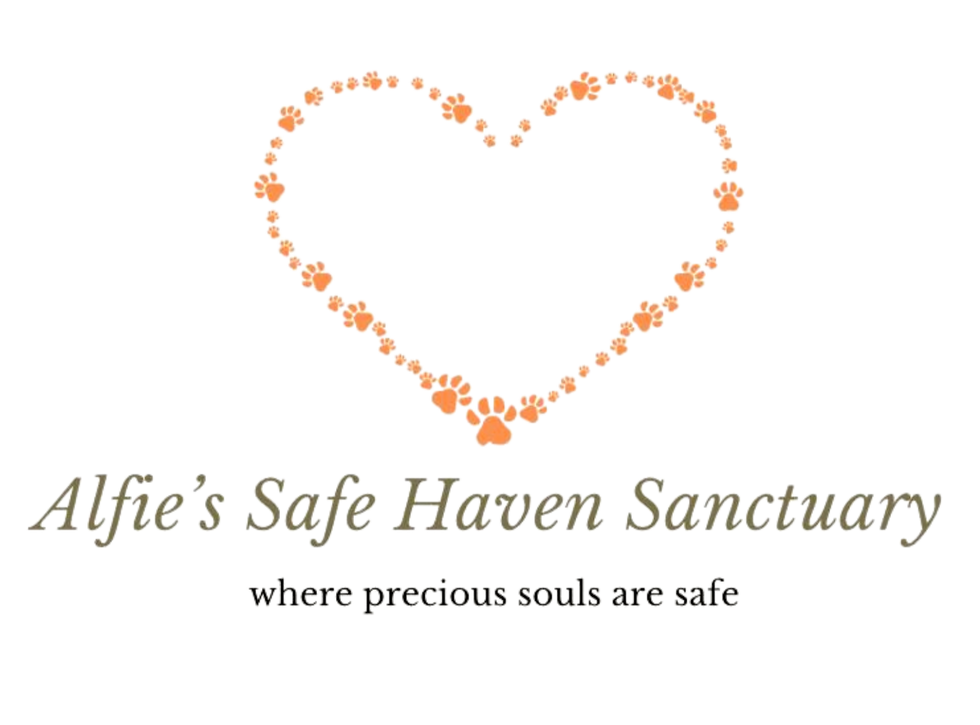 Alfies Saffe Haven Sanctuary