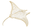 giant-manta.png