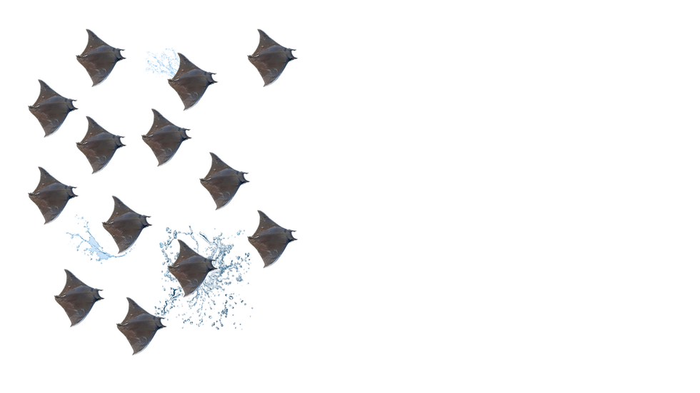 13.png