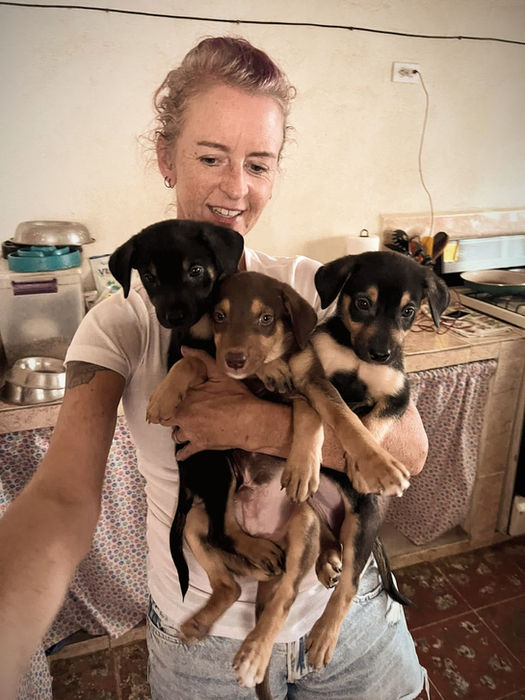 Person holding three small puppies in their arms