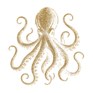 The best snorkel in La Ventana