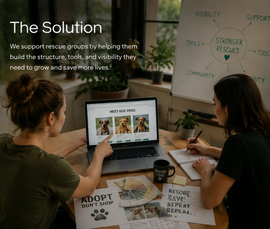 Volunteers reviewing adoptable dog profiles online, representing shared adoption systems, rescue coordination, and digital support through The Good Strays Project.