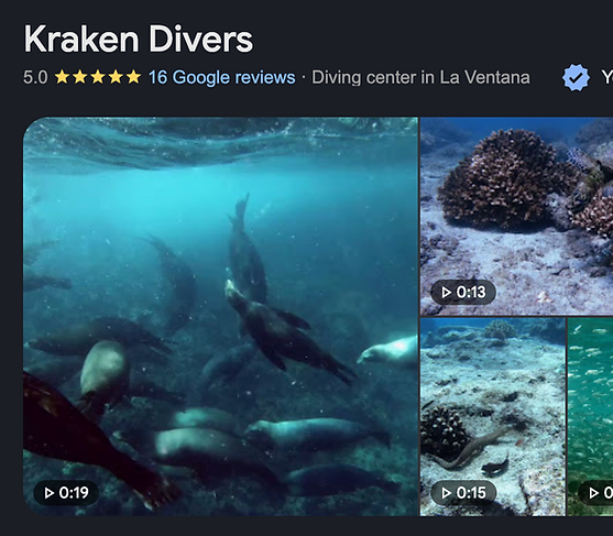 Google Business Kraken Divers.png