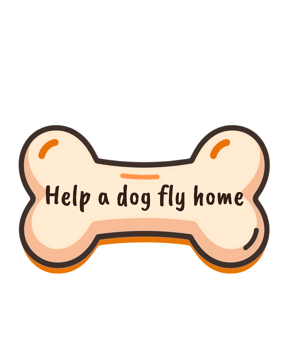 help a dog fly home.png