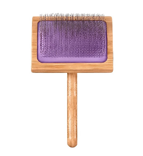 Borstel paars.PNG