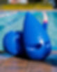zog00294-edit.jpg