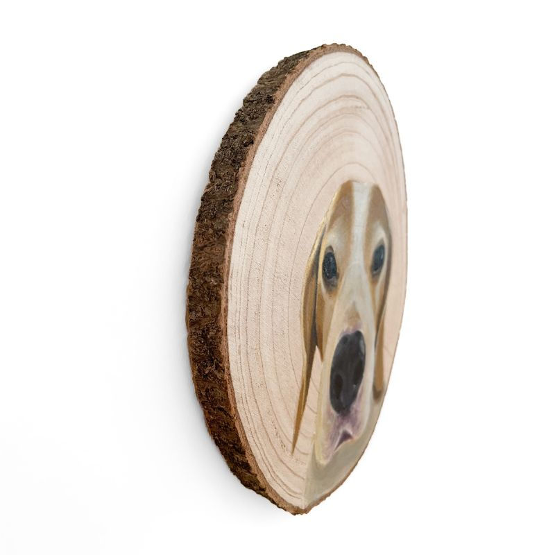 Commission Pet Portraits Woodslice.jpg