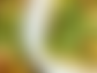 פריטטה משפחתית מהירת הכנה  