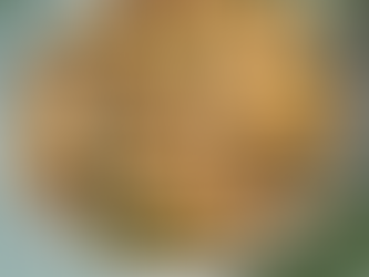 סלט פטריות אגוזים ועשבי תיבול