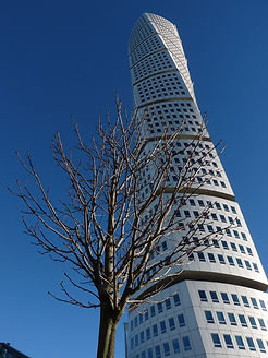 P1060474.JPG