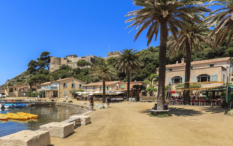 Plage avec palmiers