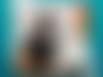 Mixed Feelings | Daan Stoop