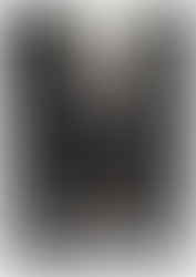 Steppin' into the Screen: 'The Girls In The Band'