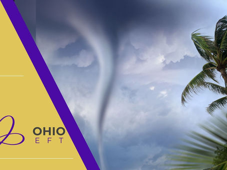 The Tornado & The Jungle: Understanding the Negative Cycle