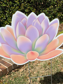 SUCCULENT - LAVENDER