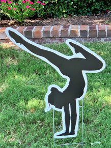 FEMALE GYMNASTICS