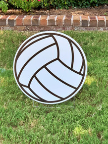 VOLLEYBALL