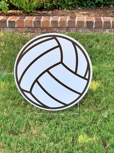 VOLLEYBALL