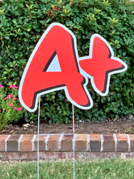 A+