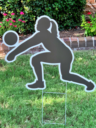 FEMALE VOLLYBALL