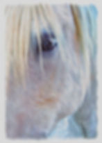 BeCasso-2024-07-01-11-48-04 2.jpeg