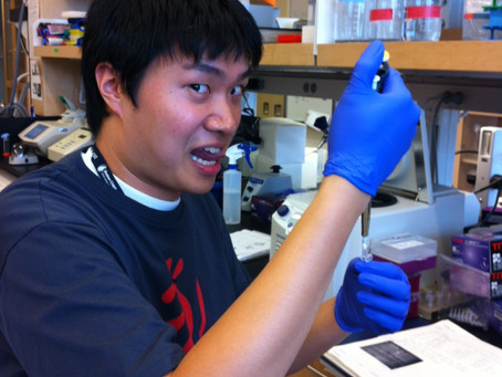 2013 Archived Lab Photos