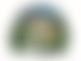 Elfsville, where Ivo lives at the North Pole