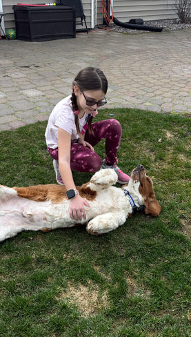 Dog receiving affection and one-on-one attention during in-home dog boarding in Frenchtown, Montana near Missoula at Silva’s Dog House.