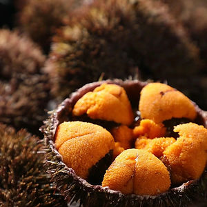 Seasonal Uni