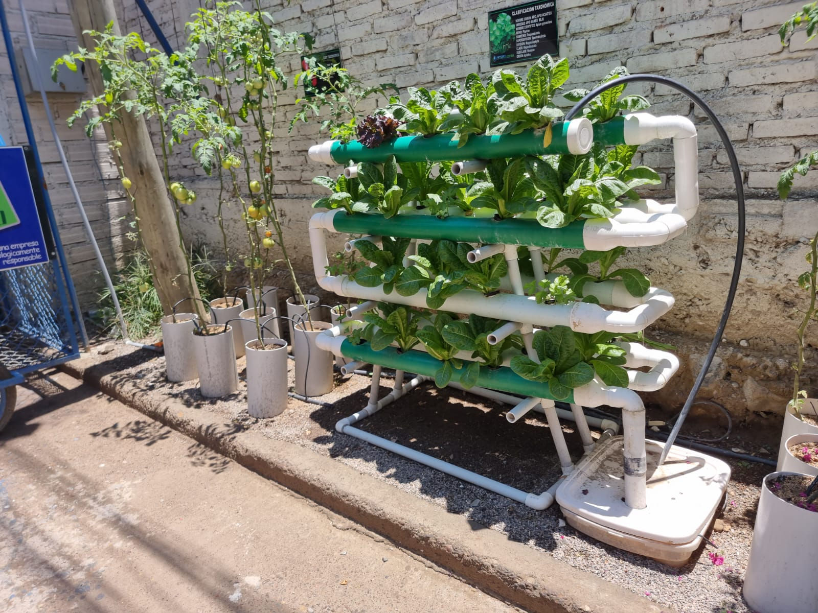 Modulo Domiciliario para 50 plantas