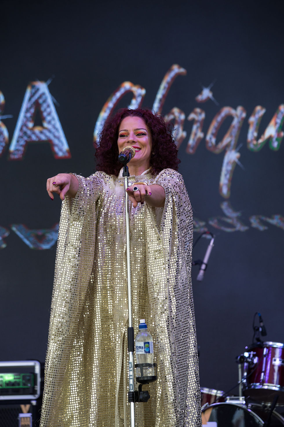 Time off festival Lingfield (61)