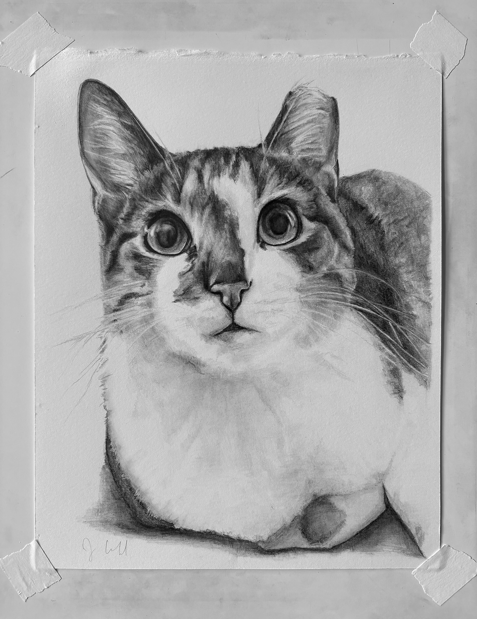 Thumbnail: Portraits
