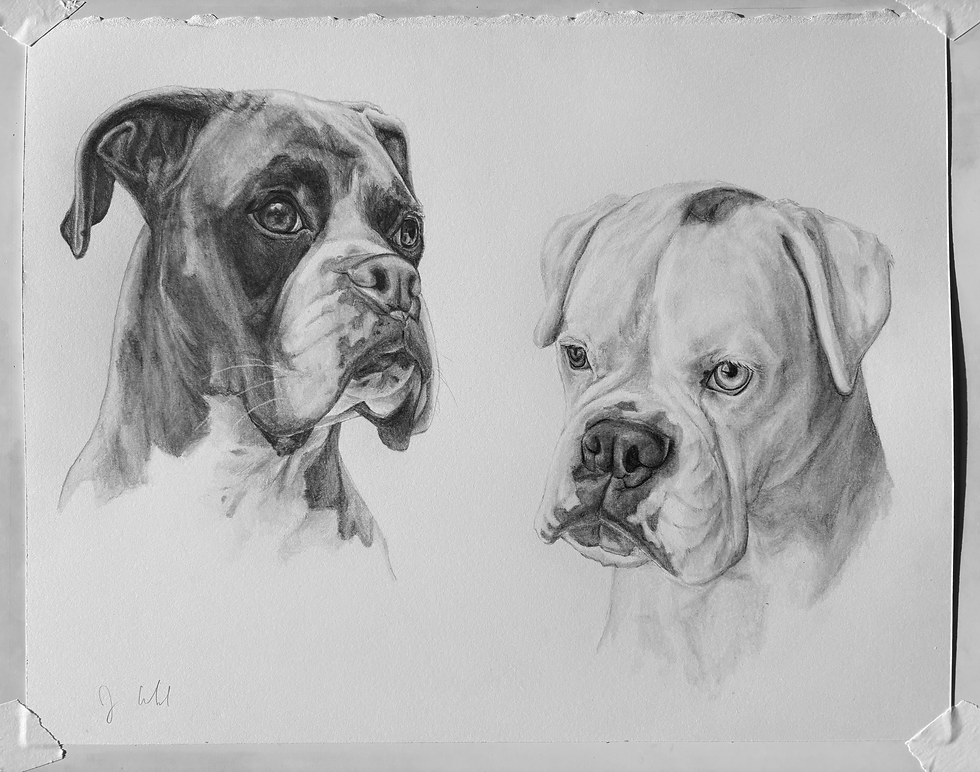Thumbnail: Portraits