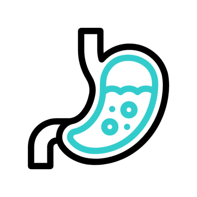 stomach_icon