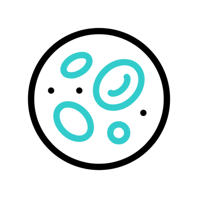 red-blood-cell_icon