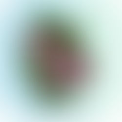 Los ángeles de una madre soltera