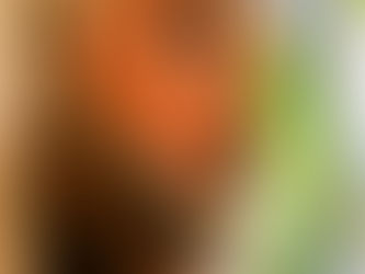 KREYÒL, YON LANG YON PÈP !