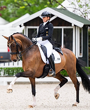 Screenshot 2025-07-14 at 12.57.08.png